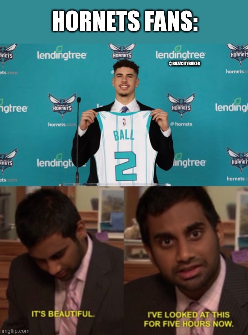 HORNETS FANS:; @BUZZCITYBAKER | image tagged in i've looked at this for 5 hours now | made w/ Imgflip meme maker