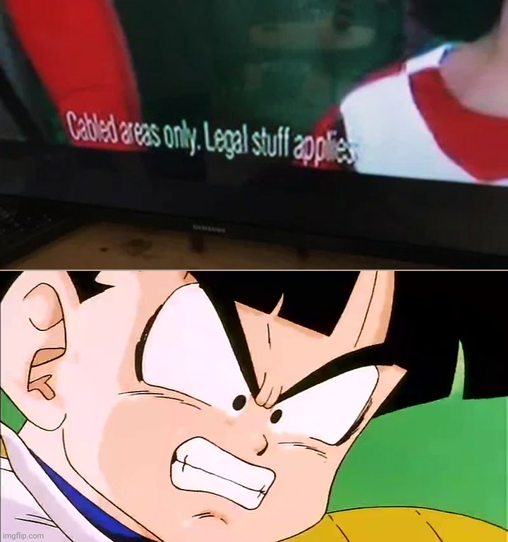 It says cables only, They frickin lied!! | image tagged in frustrated gohan dbz,are you dumb stupid or dumb,funny,you had one job | made w/ Imgflip meme maker