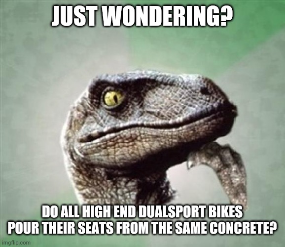 T-Rex wonder | JUST WONDERING? DO ALL HIGH END DUALSPORT BIKES POUR THEIR SEATS FROM THE SAME CONCRETE? | image tagged in t-rex wonder | made w/ Imgflip meme maker