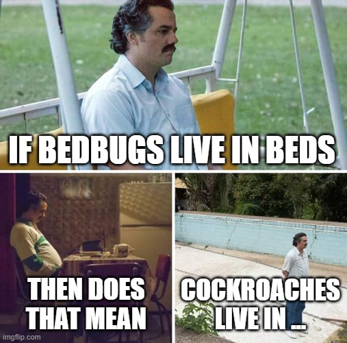 Sad Pablo Escobar Meme | IF BEDBUGS LIVE IN BEDS; THEN DOES THAT MEAN; COCKROACHES LIVE IN ... | image tagged in memes,sad pablo escobar | made w/ Imgflip meme maker