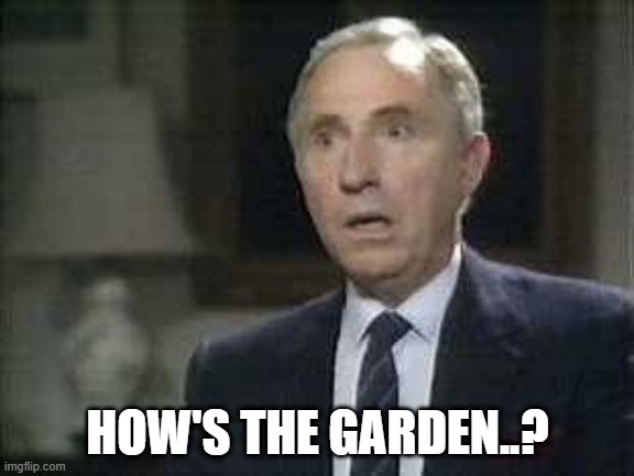 Gardening Leave | HOW'S THE GARDEN..? | image tagged in yes minister,sir humphrey,gardening leave,suspension,discipline,civil service | made w/ Imgflip meme maker
