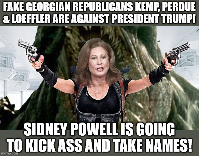 Sidney Powell Takes on the GOP | FAKE GEORGIAN REPUBLICANS KEMP, PERDUE & LOEFFLER ARE AGAINST PRESIDENT TRUMP! SIDNEY POWELL IS GOING TO KICK ASS AND TAKE NAMES! | image tagged in president trump,sidney powell,fake republicans,rino,perdue loeffler,voter fraud | made w/ Imgflip meme maker