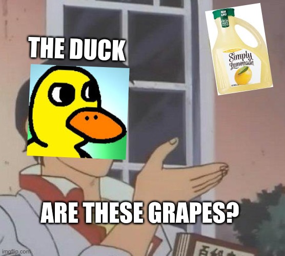tHe DuCk WaLkEd Up To ThE lEmOnAdE sTaNd AnD hE sAiD tO tHe MaN rUnNiN' tHe StAnD,"hEy, (BoMp BoMp BoMp) GoT aNy GrApEs??? | THE DUCK; ARE THESE GRAPES? | image tagged in memes,is this a pigeon,the duck song,lemonade,grapes,funny | made w/ Imgflip meme maker