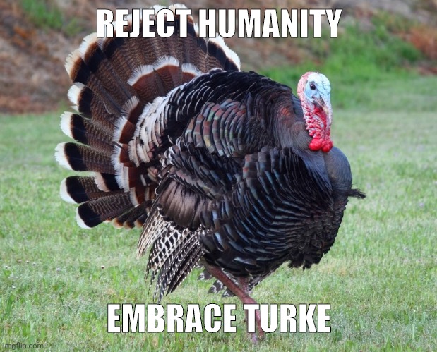 Turke | REJECT HUMANITY; EMBRACE TURKE | image tagged in turkey,freedom | made w/ Imgflip meme maker