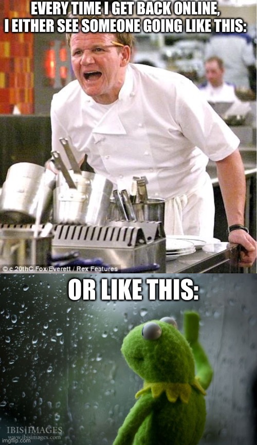 Why is everyone always fighting or upset on here? | EVERY TIME I GET BACK ONLINE, I EITHER SEE SOMEONE GOING LIKE THIS:; OR LIKE THIS: | image tagged in memes,chef gordon ramsay,kermit window | made w/ Imgflip meme maker