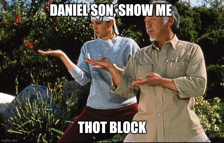 Thot training | DANIEL SON, SHOW ME; THOT BLOCK | image tagged in karate kid | made w/ Imgflip meme maker