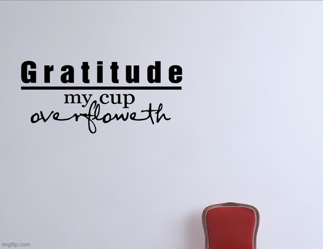 Gratitude my cup overfloweth | image tagged in gratitude my cup overfloweth | made w/ Imgflip meme maker