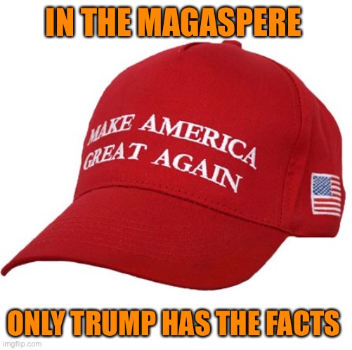 MAGA HAT | IN THE MAGASPERE ONLY TRUMP HAS THE FACTS | image tagged in maga hat | made w/ Imgflip meme maker