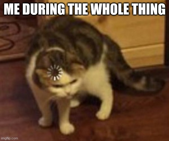 Loading cat | ME DURING THE WHOLE THING | image tagged in loading cat | made w/ Imgflip meme maker