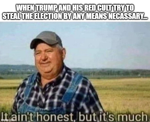Donald Chump | WHEN TRUMP AND HIS RED CULT TRY TO STEAL THE ELECTION BY ANY MEANS NECASSARY... | image tagged in donald trump,trump,election 2020 | made w/ Imgflip meme maker