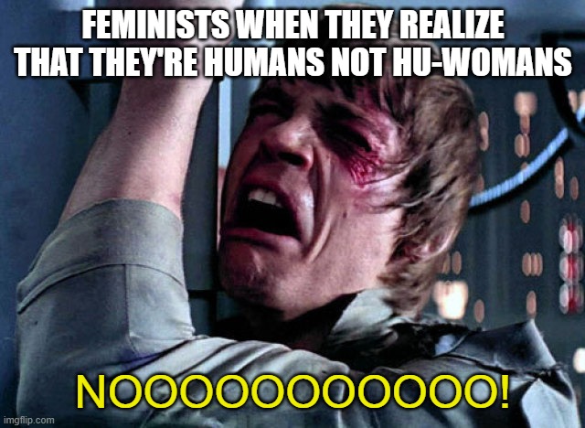 Nooo | FEMINISTS WHEN THEY REALIZE THAT THEY'RE HUMANS NOT HU-WOMANS; NOOOOOOOOOOO! | image tagged in nooo | made w/ Imgflip meme maker