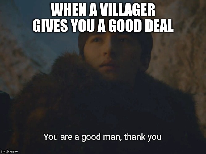 easy i give you 21 wheat and you give me an emerald | WHEN A VILLAGER GIVES YOU A GOOD DEAL | image tagged in youre a good man,gaming,minecraft,memes | made w/ Imgflip meme maker