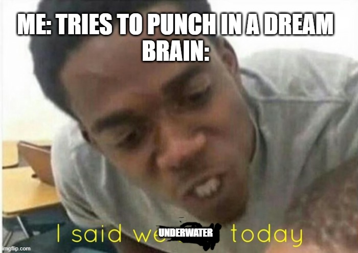 brain be like | ME: TRIES TO PUNCH IN A DREAM
BRAIN:; UNDERWATER | image tagged in i said we ____ today | made w/ Imgflip meme maker