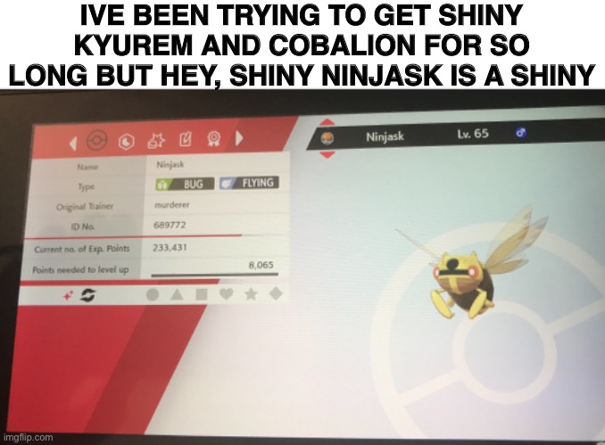 SHINY NINJASK | IVE BEEN TRYING TO GET SHINY KYUREM AND COBALION FOR SO LONG BUT HEY, SHINY NINJASK IS A SHINY | made w/ Imgflip meme maker