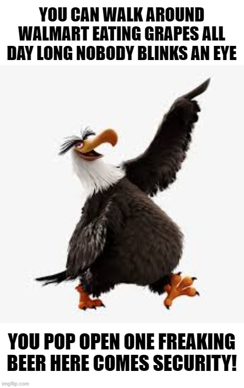 angry birds eagle | YOU CAN WALK AROUND WALMART EATING GRAPES ALL DAY LONG NOBODY BLINKS AN EYE; YOU POP OPEN ONE FREAKING BEER HERE COMES SECURITY! | image tagged in angry birds eagle,beer | made w/ Imgflip meme maker