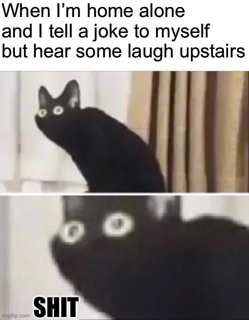 Oh No Black Cat | When I’m home alone and I tell a joke to myself but hear some laugh upstairs; SHIT | image tagged in oh no black cat | made w/ Imgflip meme maker