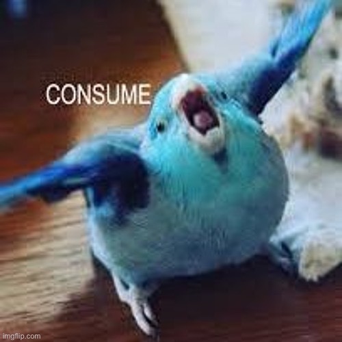 FEED MEEEE | image tagged in cute birb,feed me birby | made w/ Imgflip meme maker