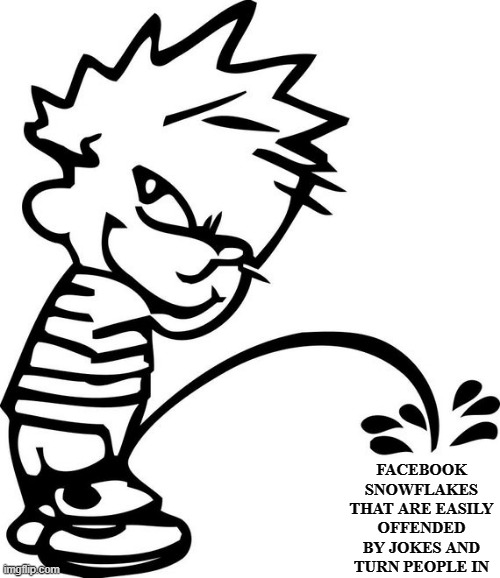 Calvin Peeing On Snowflakes | FACEBOOK SNOWFLAKES THAT ARE EASILY OFFENDED BY JOKES AND TURN PEOPLE IN | image tagged in calvin peeing,facebook sucks | made w/ Imgflip meme maker