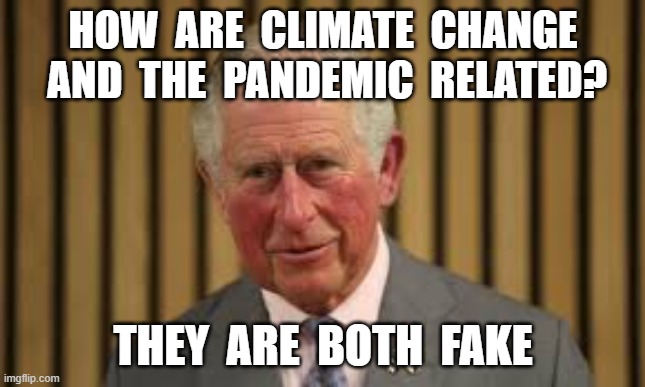 HOW  ARE  CLIMATE  CHANGE  AND  THE  PANDEMIC  RELATED? THEY  ARE  BOTH  FAKE | image tagged in plandemic,covid19,china virus,climate change hoax,coronavirus,prince charles | made w/ Imgflip meme maker