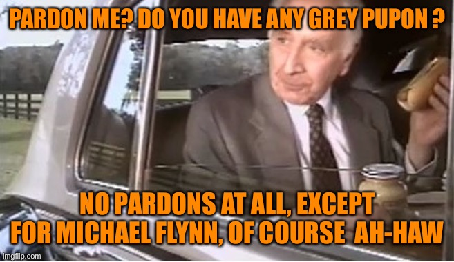 grey pupon | PARDON ME? DO YOU HAVE ANY GREY PUPON ? NO PARDONS AT ALL, EXCEPT FOR MICHAEL FLYNN, OF COURSE  AH-HAW | image tagged in grey pupon | made w/ Imgflip meme maker