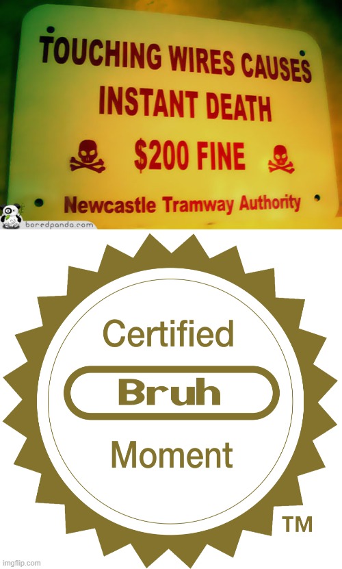 certified bruh moment | image tagged in certified bruh moment,memes,funny,fallout hold up | made w/ Imgflip meme maker