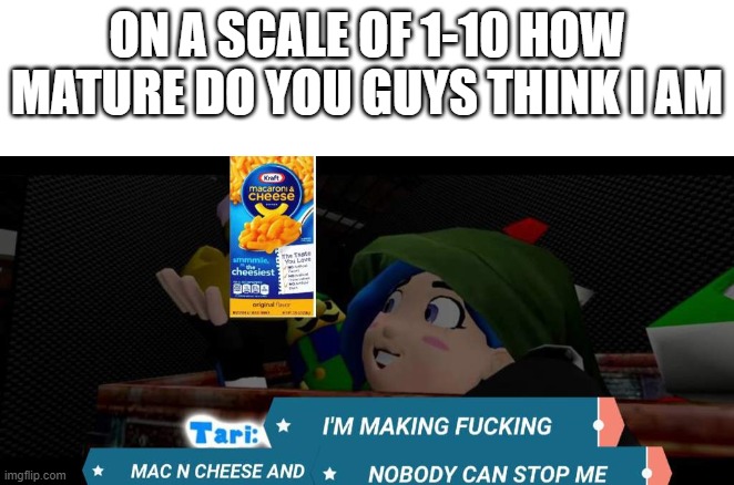 Tari mac n cheese | ON A SCALE OF 1-10 HOW MATURE DO YOU GUYS THINK I AM | image tagged in tari mac n cheese | made w/ Imgflip meme maker