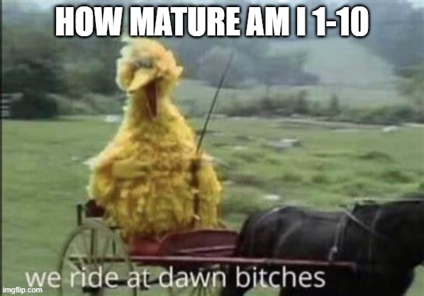 yes sir | HOW MATURE AM I 1-10 | image tagged in yes sir | made w/ Imgflip meme maker