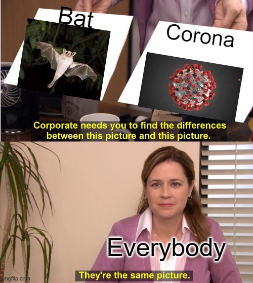 -                                                                                                                                | Bat; Corona; Everybody | image tagged in memes,they're the same picture | made w/ Imgflip meme maker