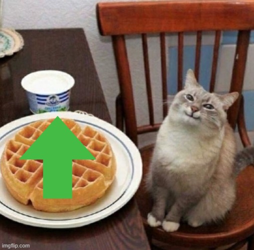 Cat likes their waffle | image tagged in cat likes their waffle | made w/ Imgflip meme maker