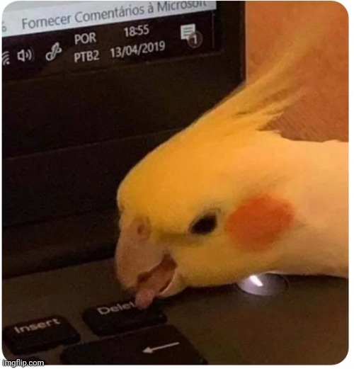 Cockatiel delete button | image tagged in cockatiel delete button | made w/ Imgflip meme maker