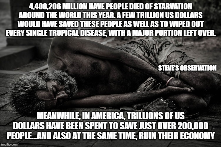 politics | STEVE'S OBSERVATION | image tagged in political meme | made w/ Imgflip meme maker