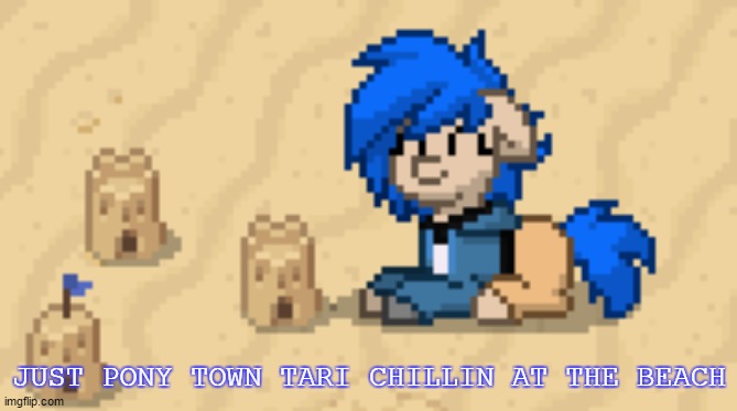Should I post my pony town skins? | JUST PONY TOWN TARI CHILLIN AT THE BEACH | made w/ Imgflip meme maker