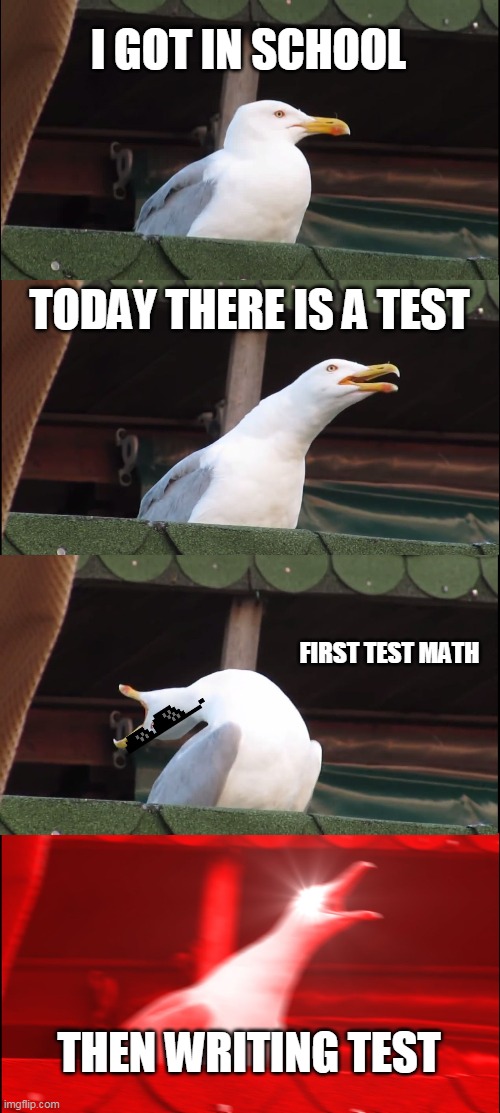 I HATE WRITING | I GOT IN SCHOOL; TODAY THERE IS A TEST; FIRST TEST MATH; THEN WRITING TEST | image tagged in memes,inhaling seagull | made w/ Imgflip meme maker