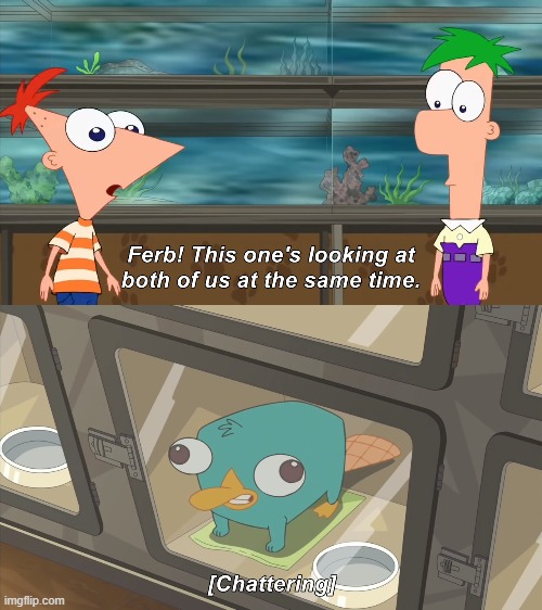 F in the chat, they gonna die | image tagged in phineas and ferb | made w/ Imgflip meme maker