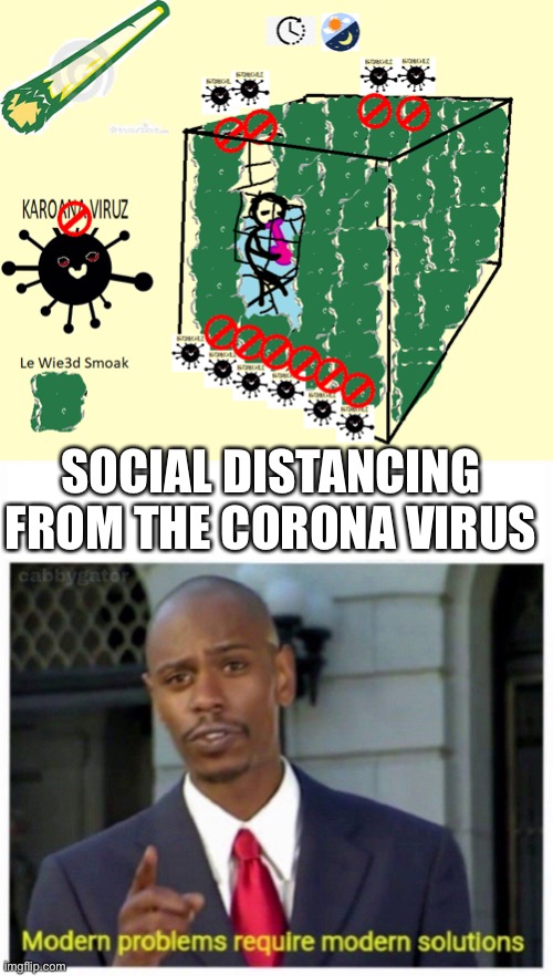 Social distancing | SOCIAL DISTANCING FROM THE CORONA VIRUS | image tagged in weed-covid19-solution,modern problems,social distancing,corona virus,memes | made w/ Imgflip meme maker
