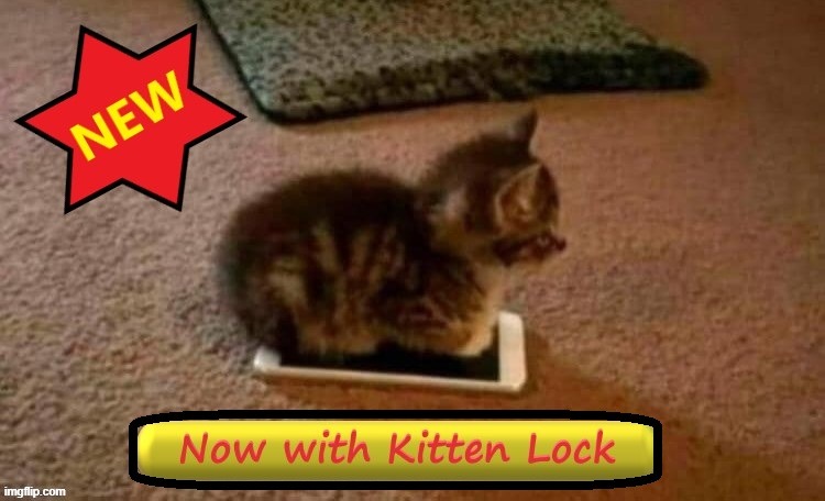 Mobile Phone Cozy | image tagged in cats,cute cats,funny cats,cell phones | made w/ Imgflip meme maker