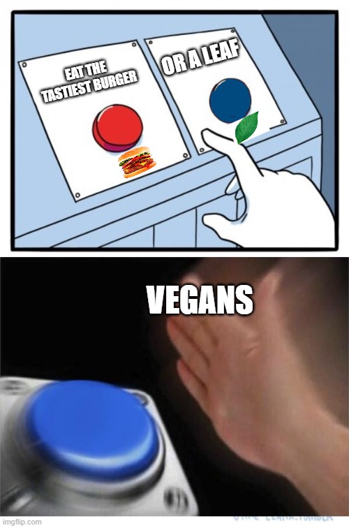 whos hungry | OR A LEAF; EAT THE TASTIEST BURGER; VEGANS | image tagged in two buttons 1 blue | made w/ Imgflip meme maker