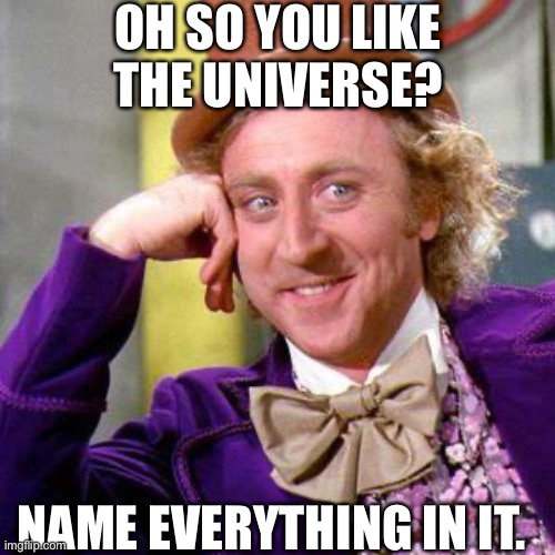 NAME EVERYTHING IN THE UNIVERSE. | OH SO YOU LIKE THE UNIVERSE? NAME EVERYTHING IN IT. | image tagged in willy wonka blank | made w/ Imgflip meme maker
