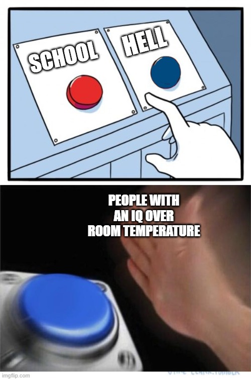 ok | HELL; SCHOOL; PEOPLE WITH AN IQ OVER ROOM TEMPERATURE | image tagged in two buttons 1 blue | made w/ Imgflip meme maker