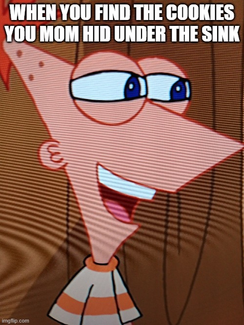 l e l | WHEN YOU FIND THE COOKIES YOU MOM HID UNDER THE SINK | image tagged in peepin' phineas | made w/ Imgflip meme maker