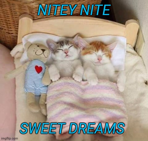 Nightie nite | NITEY NITE; SWEET DREAMS | image tagged in nightie nite | made w/ Imgflip meme maker