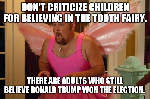 Tooth Fairy | DON'T CRITICIZE CHILDREN FOR BELIEVING IN THE TOOTH FAIRY. THERE ARE ADULTS WHO STILL BELIEVE DONALD TRUMP WON THE ELECTION. | image tagged in tooth fairy | made w/ Imgflip meme maker