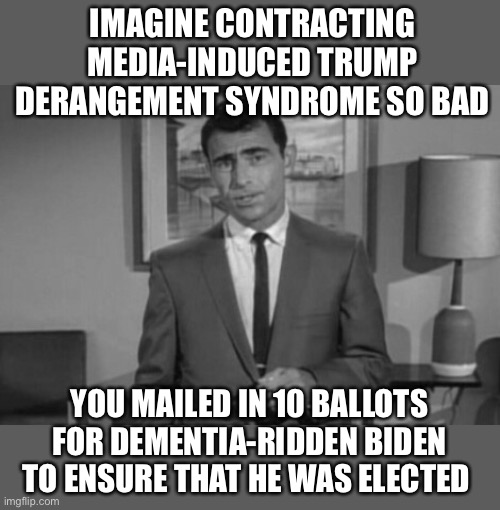 TDS | IMAGINE CONTRACTING MEDIA-INDUCED TRUMP DERANGEMENT SYNDROME SO BAD; YOU MAILED IN 10 BALLOTS FOR DEMENTIA-RIDDEN BIDEN TO ENSURE THAT HE WAS ELECTED | image tagged in election fraud | made w/ Imgflip meme maker