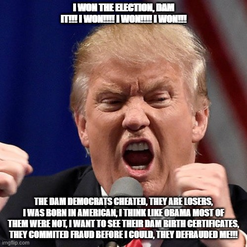 Trump |  I WON THE ELECTION, DAM IT!!! I WON!!!! I WON!!!! I WON!!! THE DAM DEMOCRATS CHEATED, THEY ARE LOSERS, I WAS BORN IN AMERICAN, I THINK LIKE OBAMA MOST OF THEM WERE NOT, I WANT TO SEE THEIR DAM BIRTH CERTIFICATES, THEY COMMITED FRAUD BEFORE I COULD, THEY DEFRAUDED ME!!! | made w/ Imgflip meme maker
