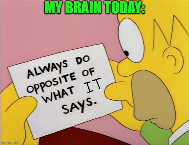 Always Do Opposite of What X Says | MY BRAIN TODAY:; IT | image tagged in always do opposite of what x says | made w/ Imgflip meme maker