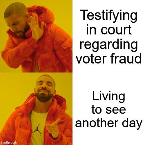 I suppose self preservation does take presitent over election integrity | Testifying in court regarding voter fraud; Living to see another day | image tagged in memes,drake hotline bling,voter fraud,election 2020,jeffrey epstein | made w/ Imgflip meme maker