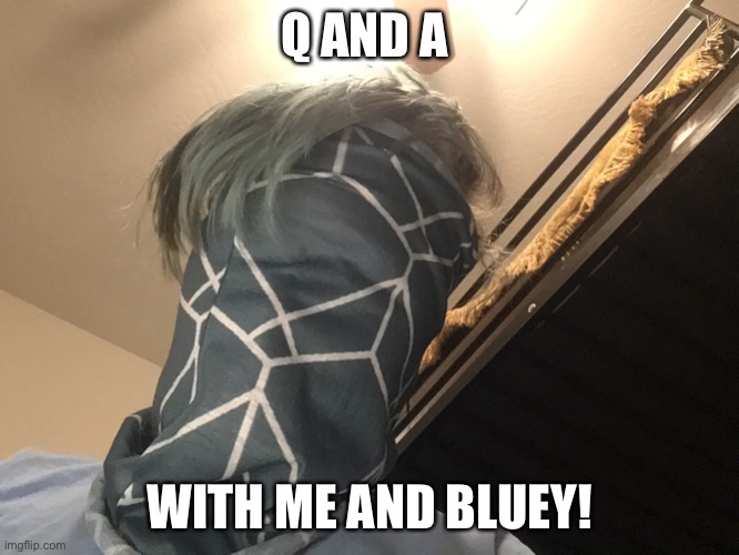Q AND A; WITH ME AND BLUEY! | image tagged in question,answer | made w/ Imgflip meme maker