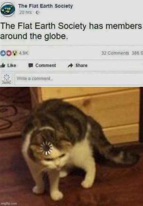 Around | image tagged in loading cat,funny,memes,funny memes,cats,flat earth | made w/ Imgflip meme maker
