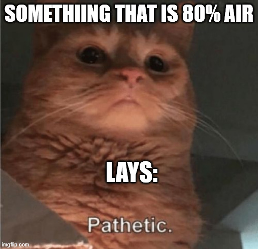 Pathetic Cat | SOMETHIING THAT IS 80% AIR; LAYS: | image tagged in pathetic cat | made w/ Imgflip meme maker