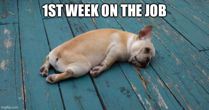 Exhausted  | 1ST WEEK ON THE JOB | image tagged in exhausted | made w/ Imgflip meme maker
